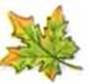 4klas_1.files/image083.jpg